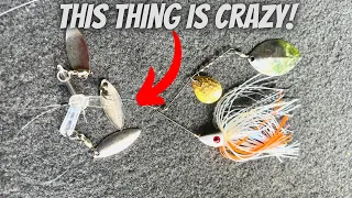 This Is Crazy! Cat 3 Teaser Bait Review