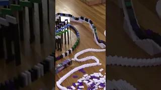 5,000 dominoes falling ASMR 😍