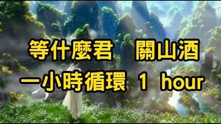 等什麼君關山酒  一小時循環  1 hour【简/繁动态歌词】♫我自關山點酒 千秋皆入喉♫ Quan Sơn Tửu - Đẳng Thập Yêu Quân