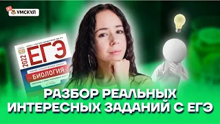 Разбор реальных интересных заданий с ЕГЭ | Биология ЕГЭ 2022 | Умскул