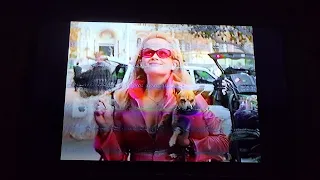 Legally Blonde in Reverse: Rewinding VHS