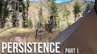 PERSISTENCE - Idaho - Elk & Muledeer Part 1