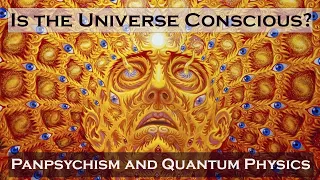 Is the universe conscious? Panpsychism and Quantum physics