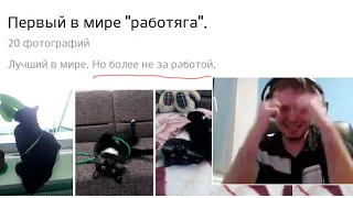 ПАПИЧ ПРО СВОЕГО КОТА