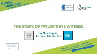 The Story of Taylor's Eye Witness (2024)