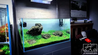 How Much Flow Should You Have in Your Planted Aquariums?
