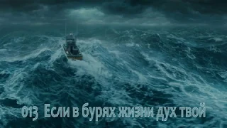 013 Если в бурях жизни дух твой