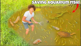 Saving TONS Of AQUARIUM FISH From ABANDONED Pond!