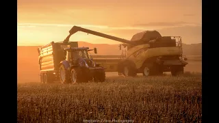 Žatva - Harvest 2020 - 3x New Holland CR, T7040 + T6.175; John Deere 7830; Deutz Fahr M620;