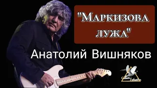 "Маркизова лужа"  Анатолий Вишняков & группа "Галактическая Федерация"