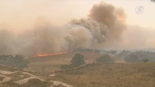 Пожары в Австралии растянулись на сотни километров, есть жертвы (новости)