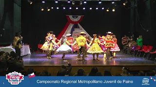 Campeonato Regional Metropolitano Juvenil de Paine  (Oficial)