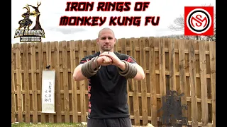Monkey Kung Fu Iron Rings: Why You Need Them And How To Use Them