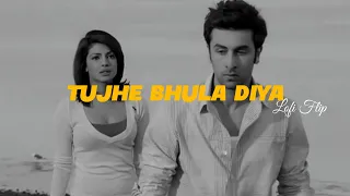 Tujhe Bhula Diya - ( Lofi Flip ) | Anjana Anjani | Mohit Chauhan, Shekhar | Yk Visual
