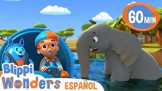 Elefantes 🐘 | Blippi Wonders | Caricaturas para niños | Videos educativos para niños