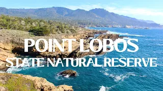 Hiking Monterey California: Point Lobos State Natural Reserve