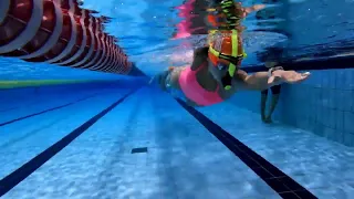 올림픽수영장 레인대여 스타트연습