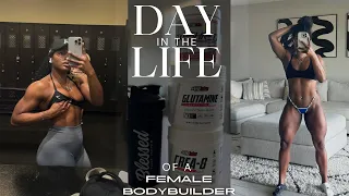 DAY IN THE LIFE OF A FEMALE BODYBUILDER | Posing & Measurements | UPPER BODY workout