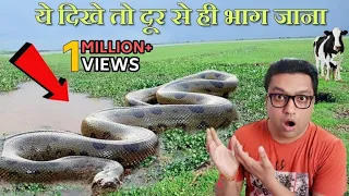 इनको देखकर आपकी साँस रुक जाएगी  Biggest snake in the world - Duniya ke sabse bade saap in hindi