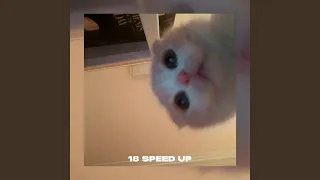 18 (sped up)