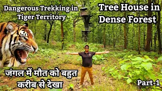 जंगल में मौत को बहुत करीब से देखा | Dangerous Trekking in Tiger Territory | Tree House in Forest