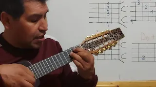 Tutorial Palomitay Charango