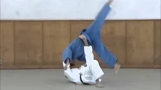 Kouchi Gari to Tomoe nage