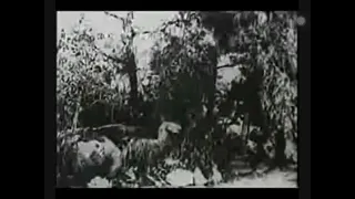Ghost of slumber mountain (1918) | terror bird
