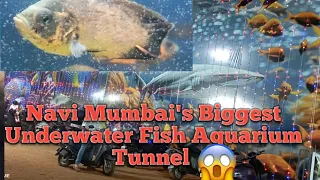 The hidden world of underwater fish tanks 🐠🐠| #Shree_Vlog