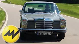 Sammler-Traum: Der Mercedes 280 E | Motorvision