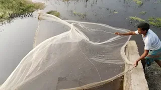 Unbelievable Cast Net Fishing Videos।Catching Lot of Fish By Cast Net। Net Fishing (part-398)