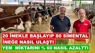 20 İnekle Başlayıp 80 Simental İneğe Nasıl Ulaştı | Yem Miktarını %60 Nasıl Azalttı