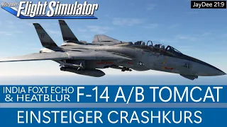 IFE/Heatblur - F-14 TOMCAT - Top Addon - Crashkurs ★ MSFS 2020 Deutsch