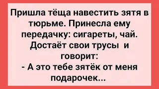 Теща с Подарком Навестила Зятя в Тюрьме! Сборник Свежих Смешных Жизненных Анекдотов!