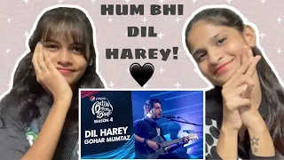 Dil Harey Reaction | Pepsi Battle of the Bands | Gohar Mumtaz | Indian Reactions!!!