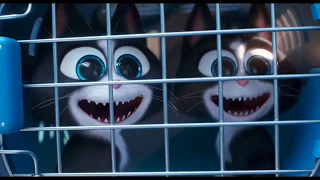 Тайная жизнь домашних животных 2 (The Secret Life of Pets 2) 2019 Трейлер