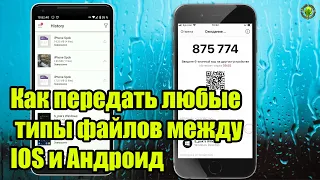 Как передать любые типы файлов между IOS и Андроид