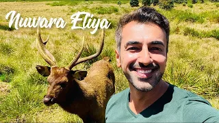 The Mini Britain of Sri Lanka & Horton Plains | Nuwara Eliya