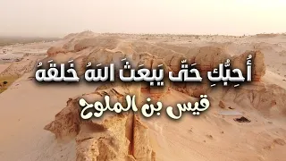 ولو أنني أستغفر الله كلما .. ذكرتك لم تكتب عليَّ ذنوب | مجنون ليلى قيس بن الملوح