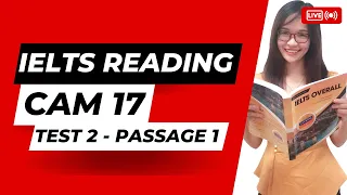 Giải IELTS Reading Cambridge 17 Test 2 Passage 1: The Dead Sea Scrolls || IELTS Thanh Loan