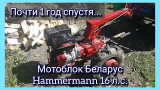 Мотоблок Беларус Hammermann 16 л.с. :  Почти год спустя эксплуатации