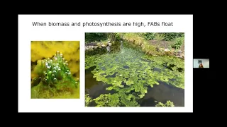 Algal Bloom Action Team Webinar: Nearshore Attached Filamentous Algal Blooms