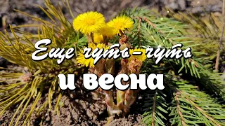 Ещё чуть чуть и Весна!