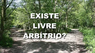 #1139 Existe livre arbítrio? Mario Persona