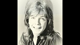 DAVID CASSIDY TRIBUTE-I WRITE THE SONGS