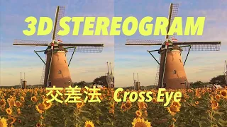 STEREOGRAM (Cross Eye 3D) | 交差法☆ステレオグラム | C20 STEREOSCOPIC