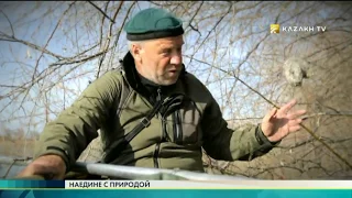 Наедине с природой №11 (08.06.2017) - Kazakh TV