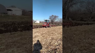 Fall Plowing with IH 1086