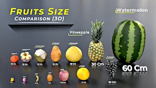 Fruit size comparison 🍎🍌🥭🍍 size comparison #fruit #comparison