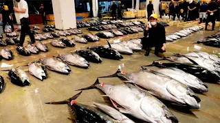 새벽2시에 열리는 일본 어시장의 참치 경매! 참치회, 스테이크 / Tuna sashimi, Tuna steak | Japanese street food